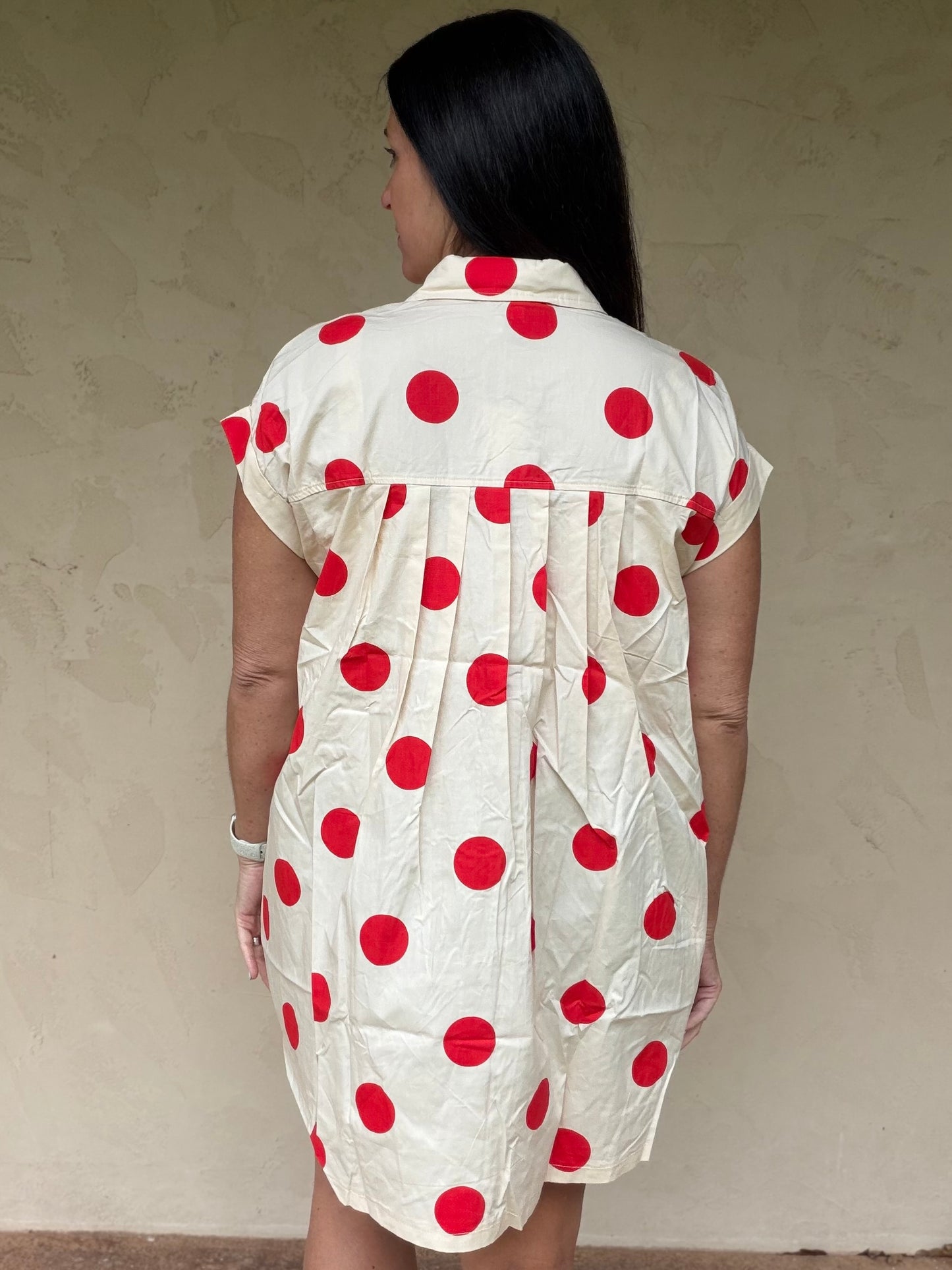 Polka Dot Button Down Pleated Dress, Red