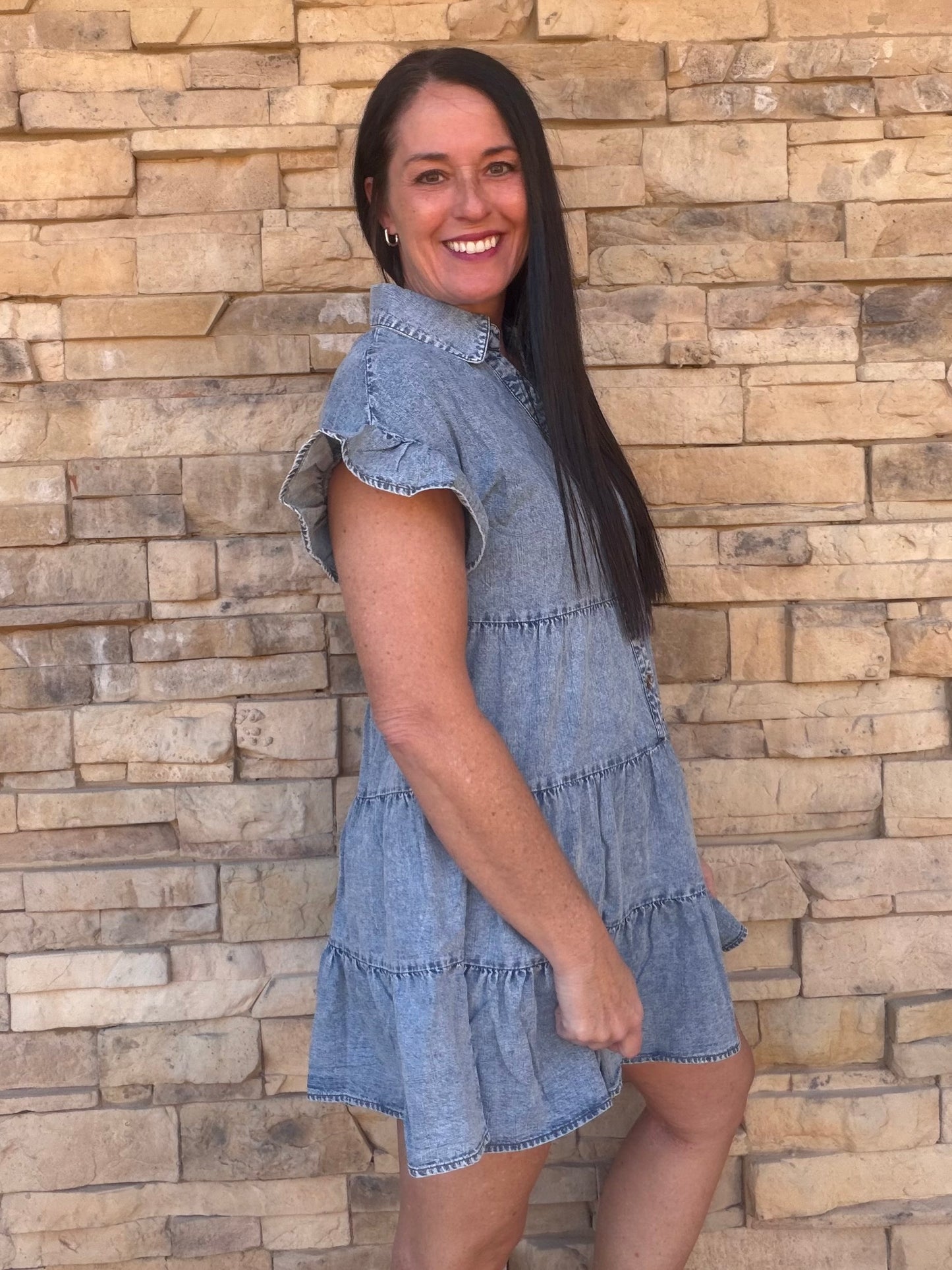 Chambray Ruffle Sleeve Dress