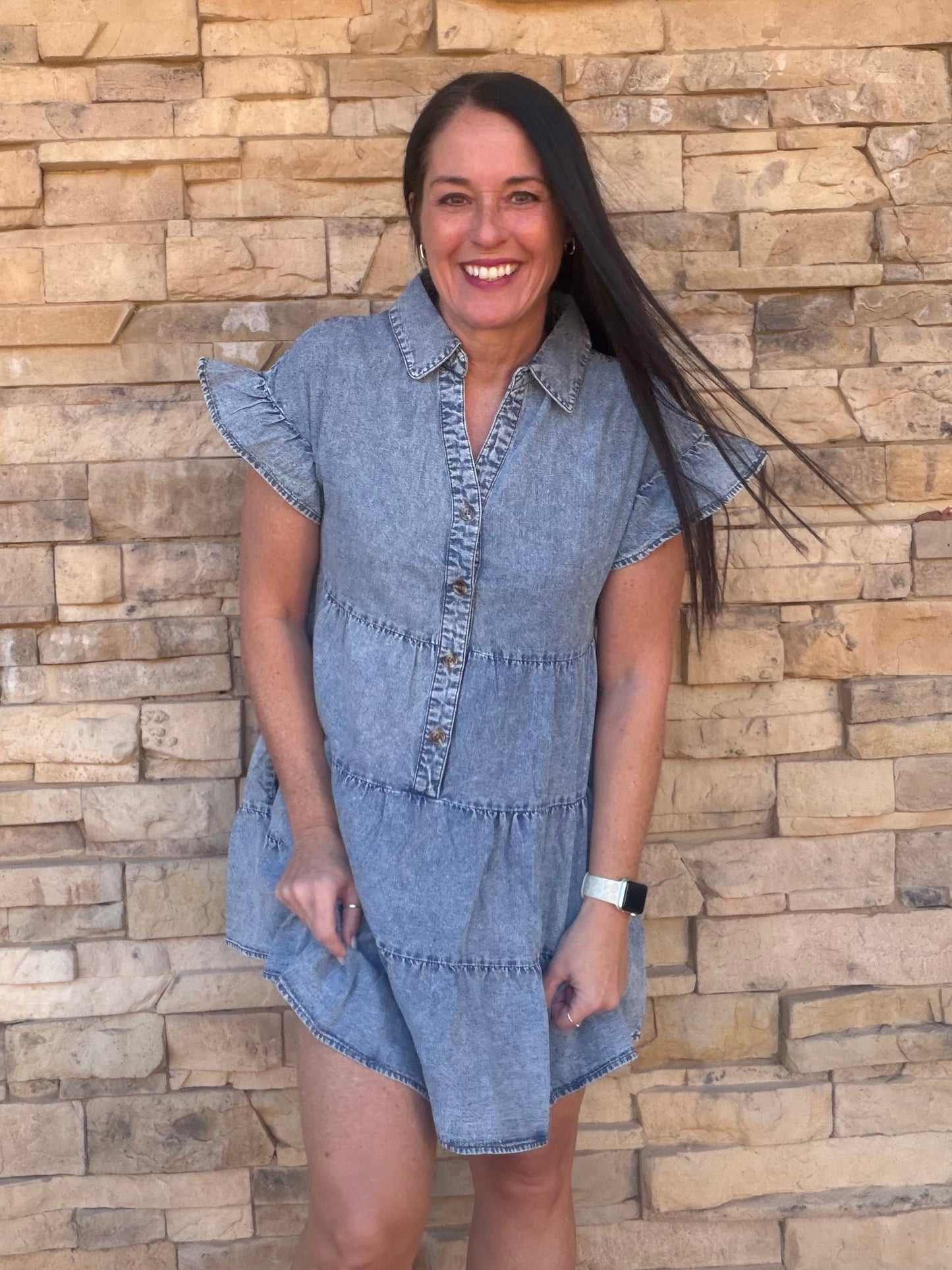 Chambray Ruffle Sleeve Dress