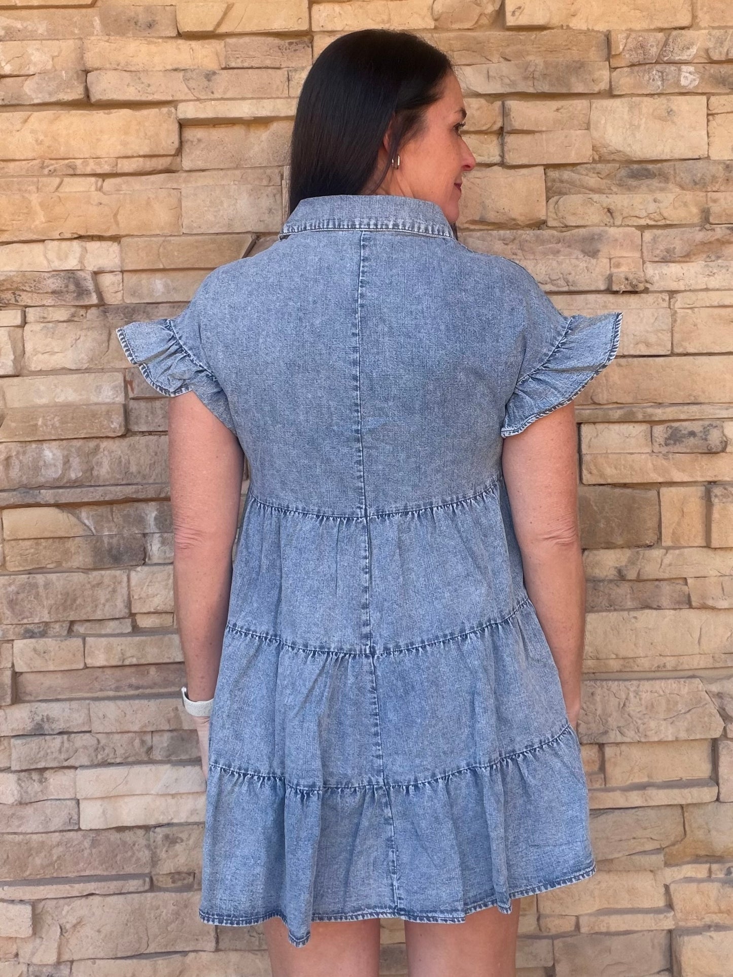Chambray Ruffle Sleeve Dress